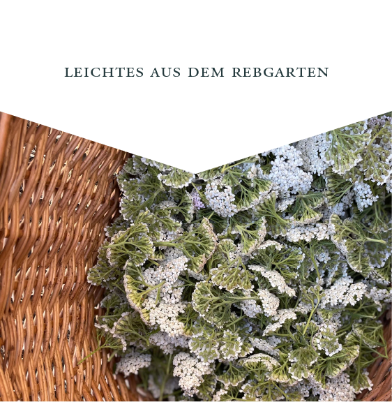 Leichtes aus dem Rebgarten